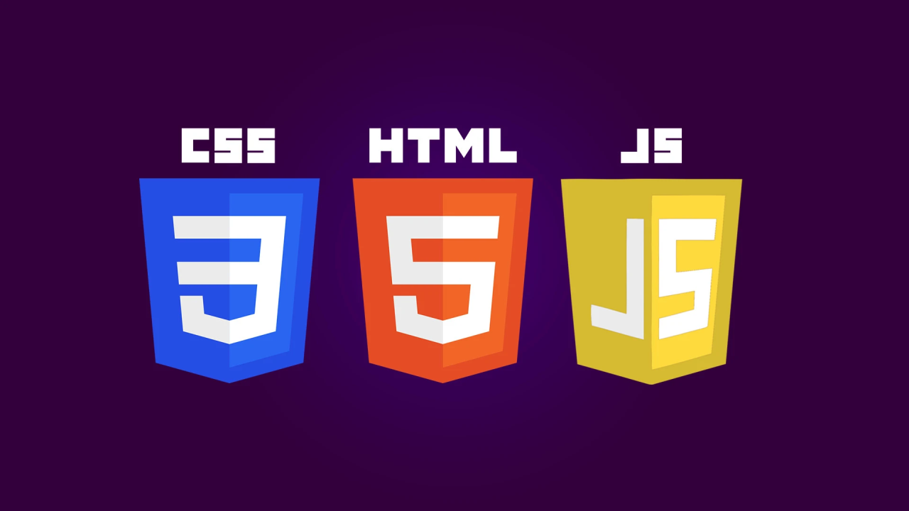 HTML CSS JavaScript
